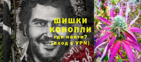 ГАЛЛЮЦИНОГЕННЫЕ ГРИБЫ Абаза