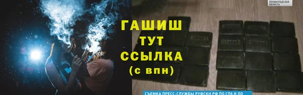 ГАЛЛЮЦИНОГЕННЫЕ ГРИБЫ Абаза