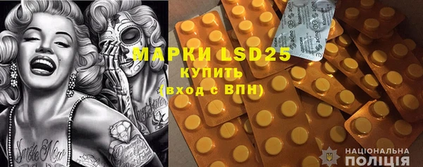 ГАЛЛЮЦИНОГЕННЫЕ ГРИБЫ Абаза