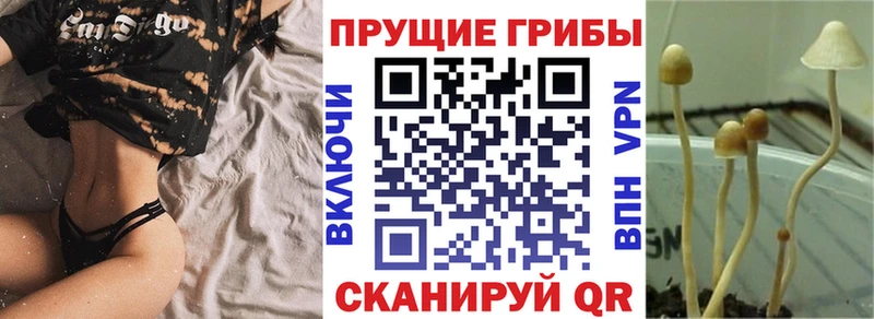 Галлюциногенные грибы мицелий  наркошоп  Магадан 