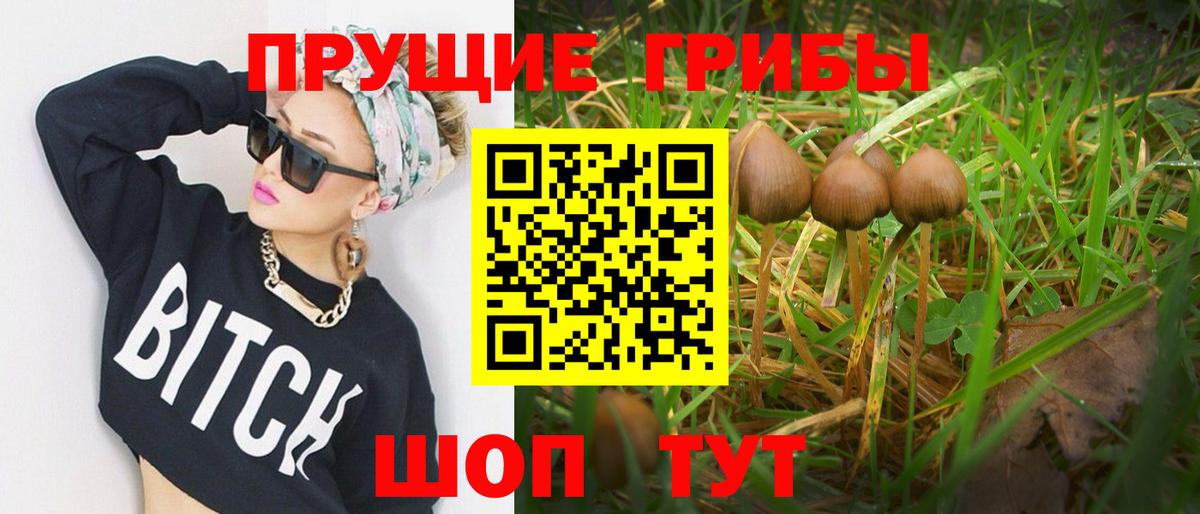Галлюциногенные грибы ЛСД  Вход с VPN  Магадан 