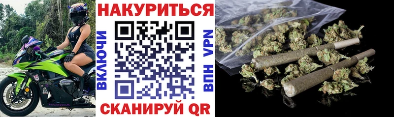 Конопля сатива  Магадан 